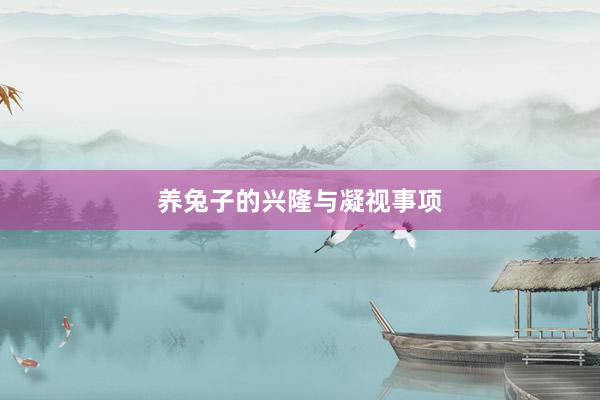 养兔子的兴隆与凝视事项
