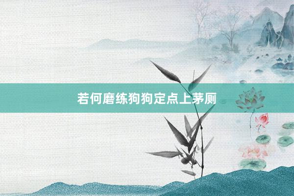 若何磨练狗狗定点上茅厕